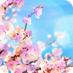 Logo of Spring Wallpapers 4K android Application 