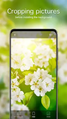 Spring Wallpapers 4K android App screenshot 2