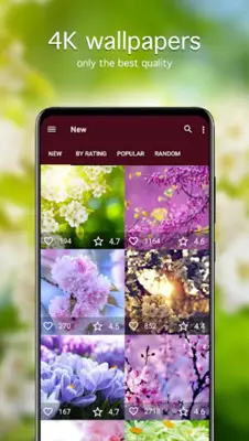 Spring Wallpapers 4K android App screenshot 4