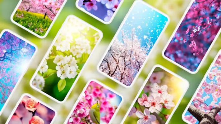 Spring Wallpapers 4K android App screenshot 5